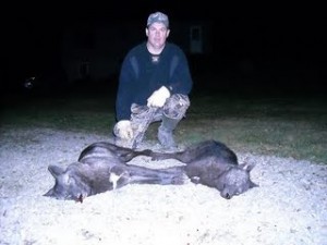 darin freeborough