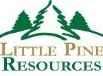 littlepinelogo161by111